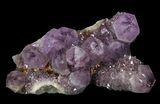 Cactus Quartz (Amethyst) Crystal Cluster - South Africa #64247-1